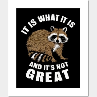 It Is What It Is And It's Not Great, Raccoon Posters and Art